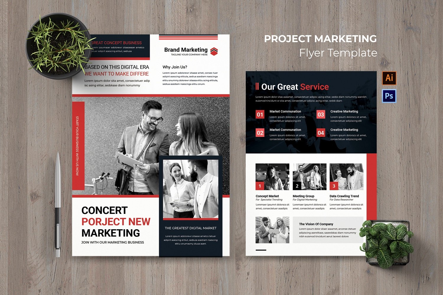 The Project Marketing Flyer