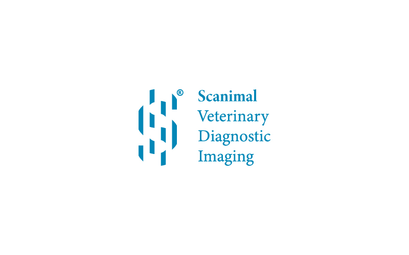 Medical Imaging Logo Template