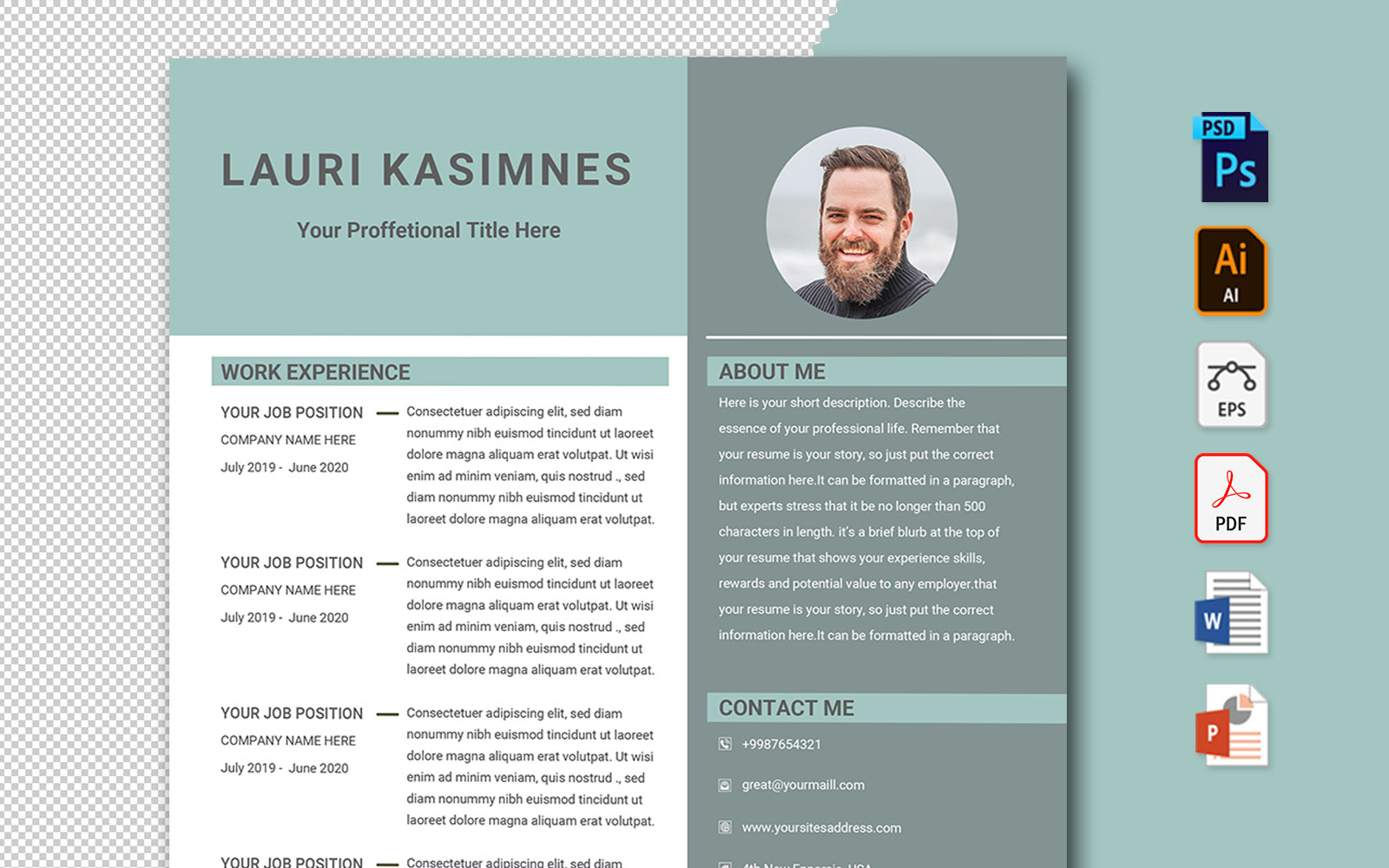 Lauri Professional Resume Template