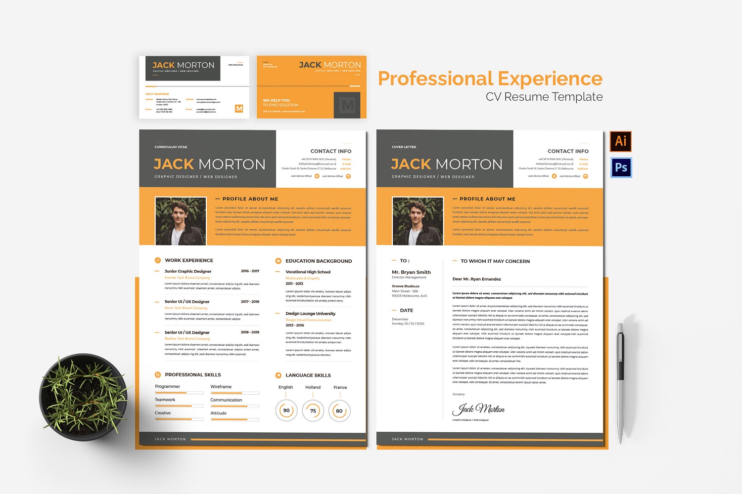 Professional Experience CV Printable Resume Templates