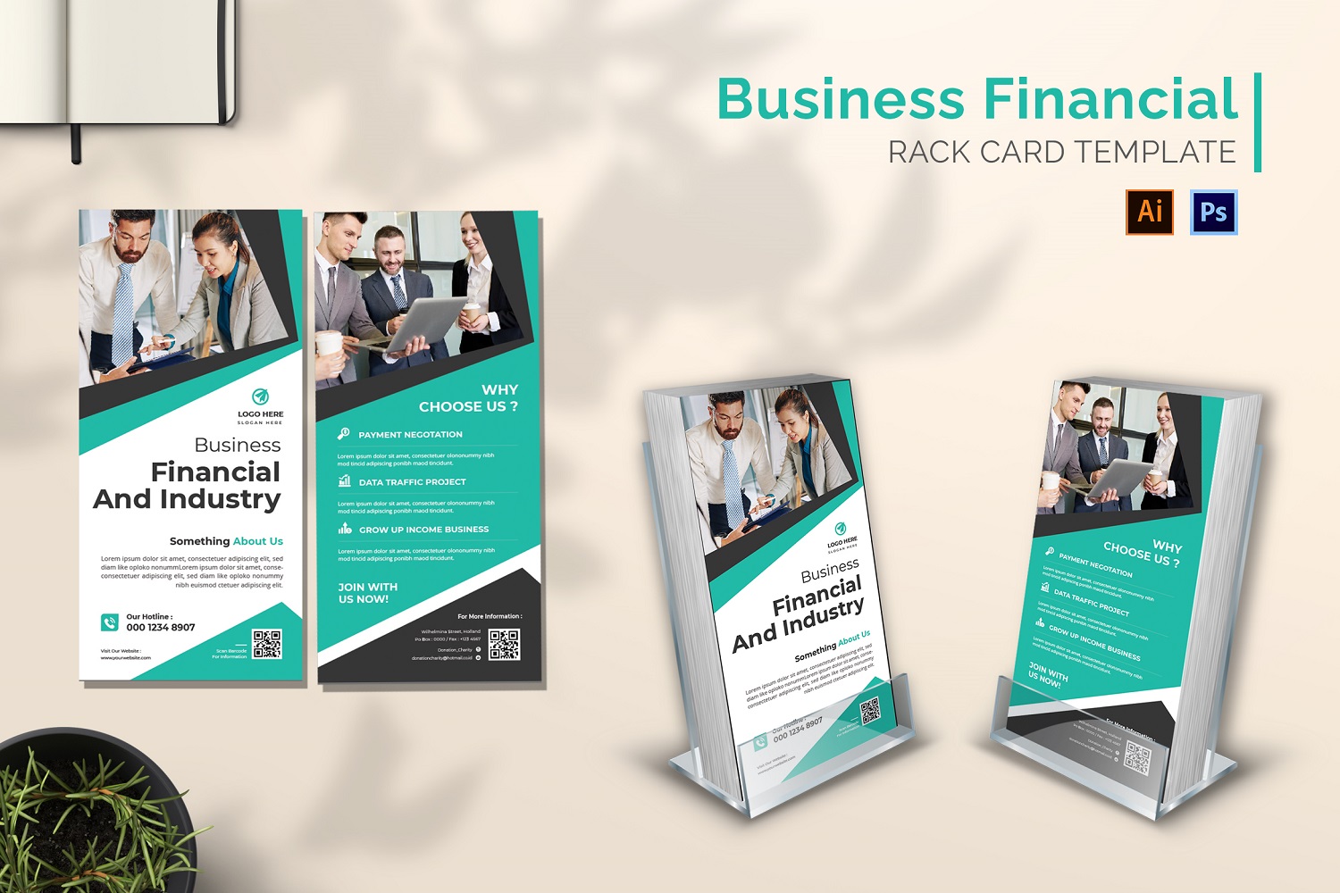 Business Financial Rack Card Brochure