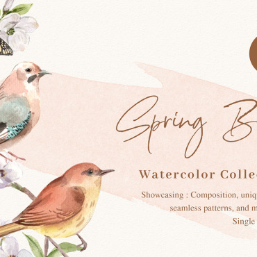 Bird Of Illustrations Templates 182732