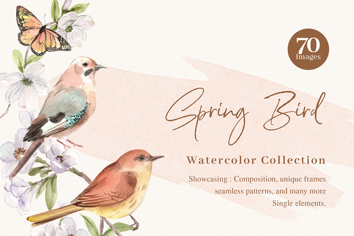 Spring Birds Watercolor Collection Illustration
