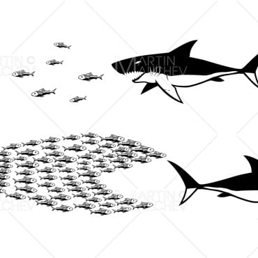 Shark Water Illustrations Templates 183300