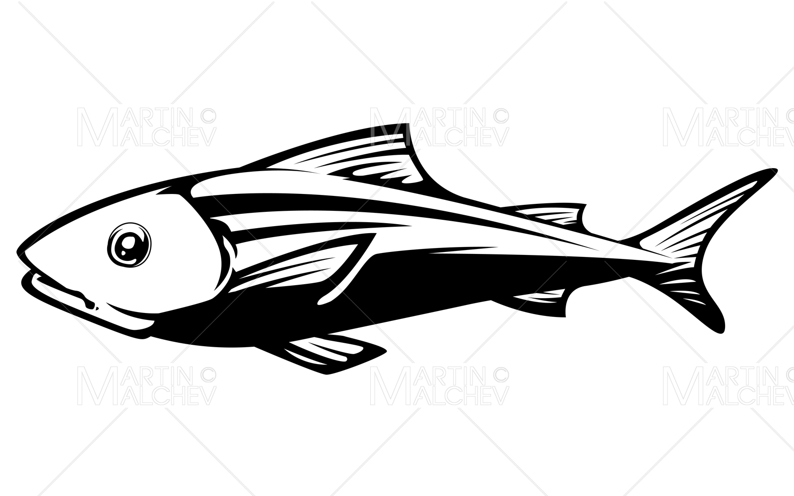Fish on White Vector Illustration