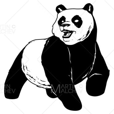 Bear Cute Illustrations Templates 183315