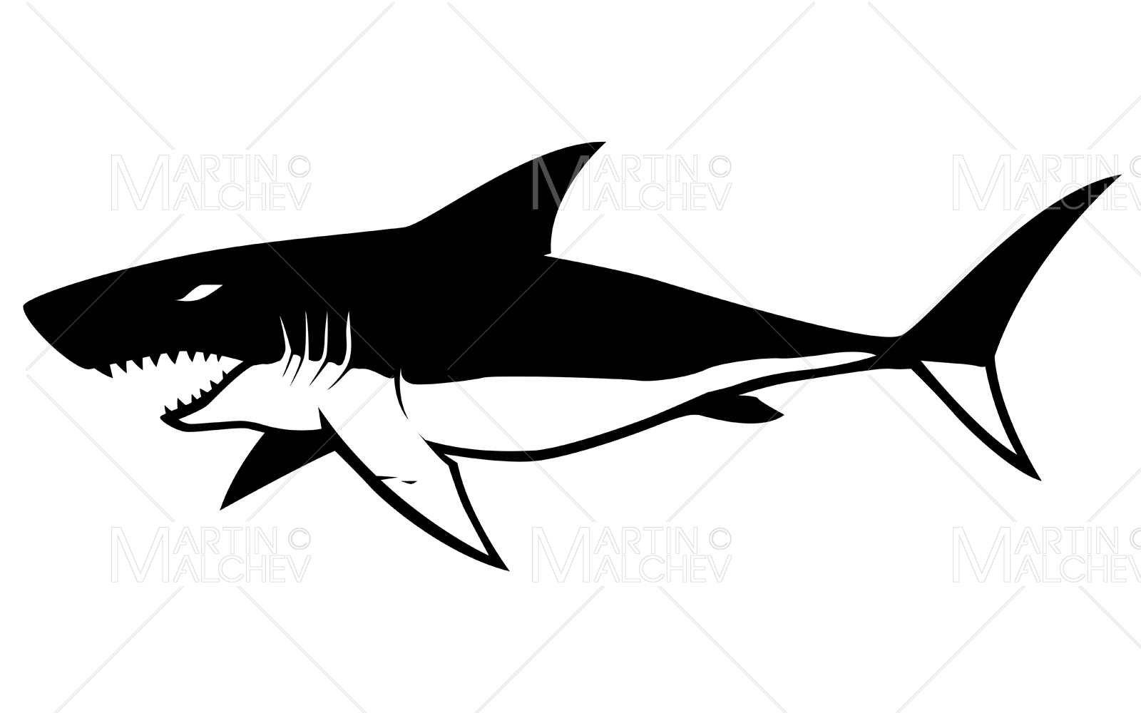 Shark Symbol on White Vector Illustration