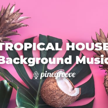 <a class=ContentLinkGreen href=>Stock Musique</a></font> danse et 183330