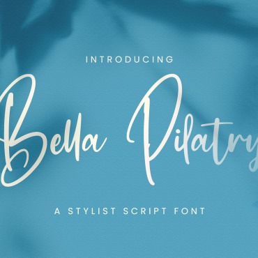 Script Calligraphy Fonts 183885