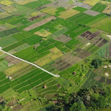 <a class=ContentLinkGreen href=/fr/kits_graphiques_templates_stock-video.html>Stock Vid�o</a></font> vert domaine 184118