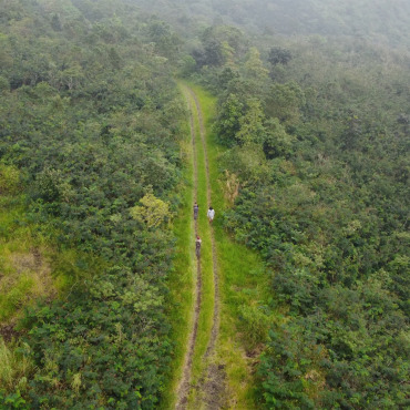 <a class=ContentLinkGreen href=/fr/kits_graphiques_templates_stock-video.html>Stock Vid�o</a></font> nature vert 184191