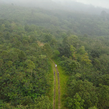 <a class=ContentLinkGreen href=/fr/kits_graphiques_templates_stock-video.html>Stock Vid�o</a></font> nature vert 184192