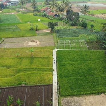 <a class=ContentLinkGreen href=/fr/kits_graphiques_templates_stock-video.html>Stock Vid�o</a></font> vert naturel 184193