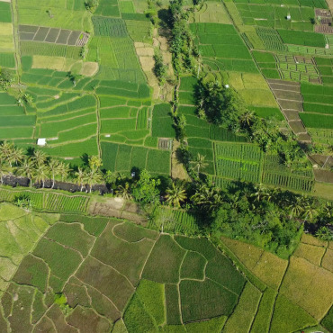 <a class=ContentLinkGreen href=/fr/kits_graphiques_templates_stock-video.html>Stock Vid�o</a></font> vert domaine 184194