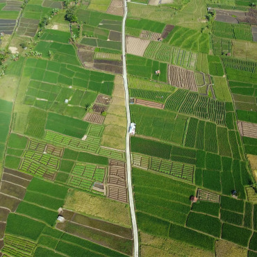 <a class=ContentLinkGreen href=/fr/kits_graphiques_templates_stock-video.html>Stock Vid�o</a></font> vert domaine 184195