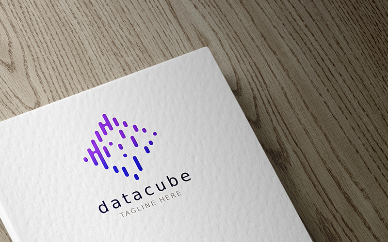Professional Data Cube Logo template