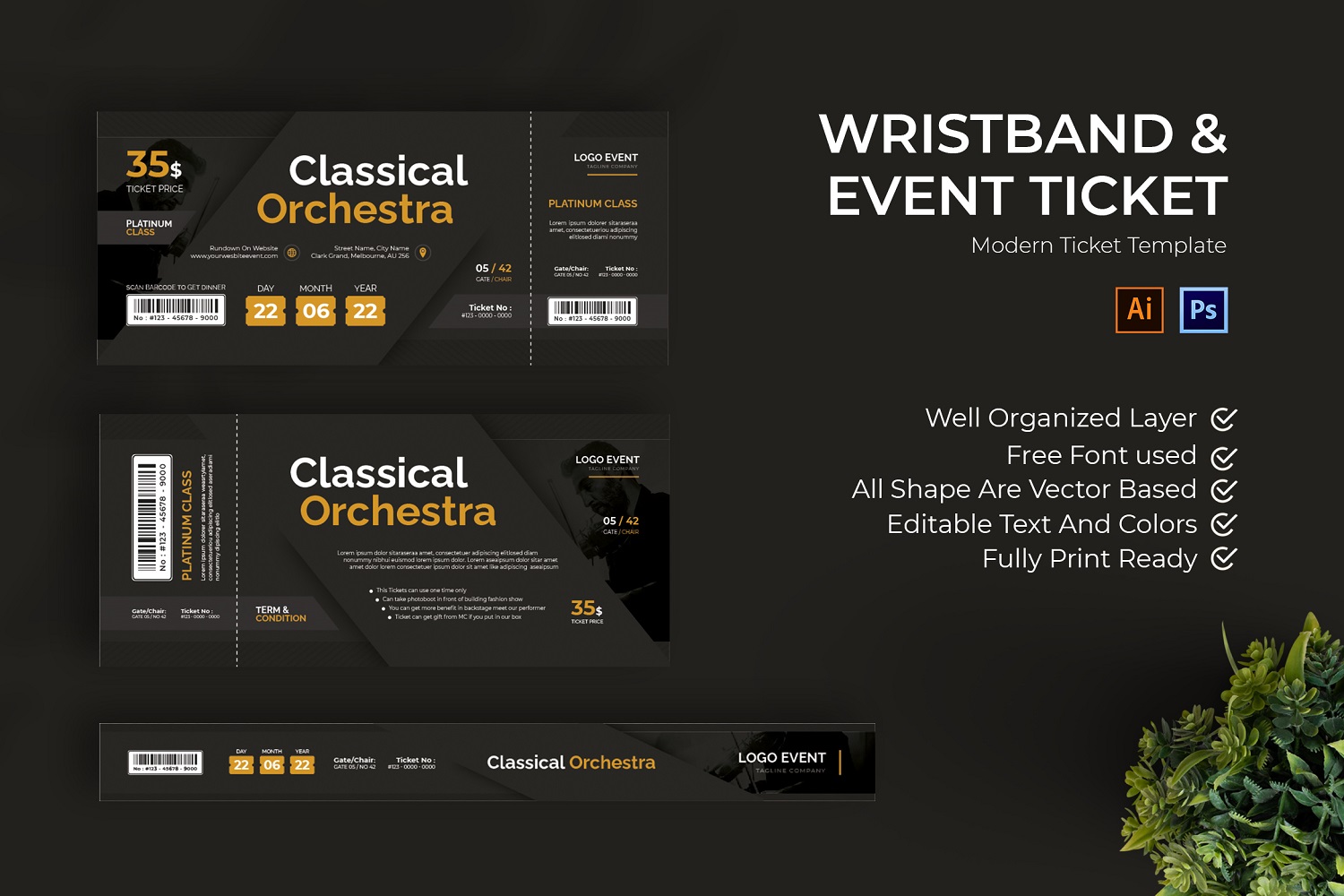 Classical Orchestra Ticket