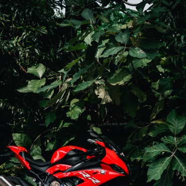 <a class=ContentLinkGreen href=></a></font> son cours 184994