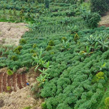 <a class=ContentLinkGreen href=/fr/kits_graphiques_templates_stock-video.html>Stock Vid�o</a></font> vert domaine 185328