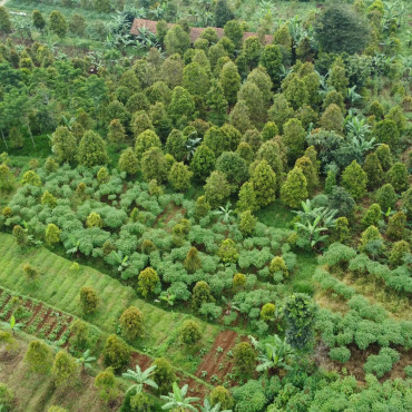 <a class=ContentLinkGreen href=/fr/kits_graphiques_templates_stock-video.html>Stock Vid�o</a></font> vert domaine 185329