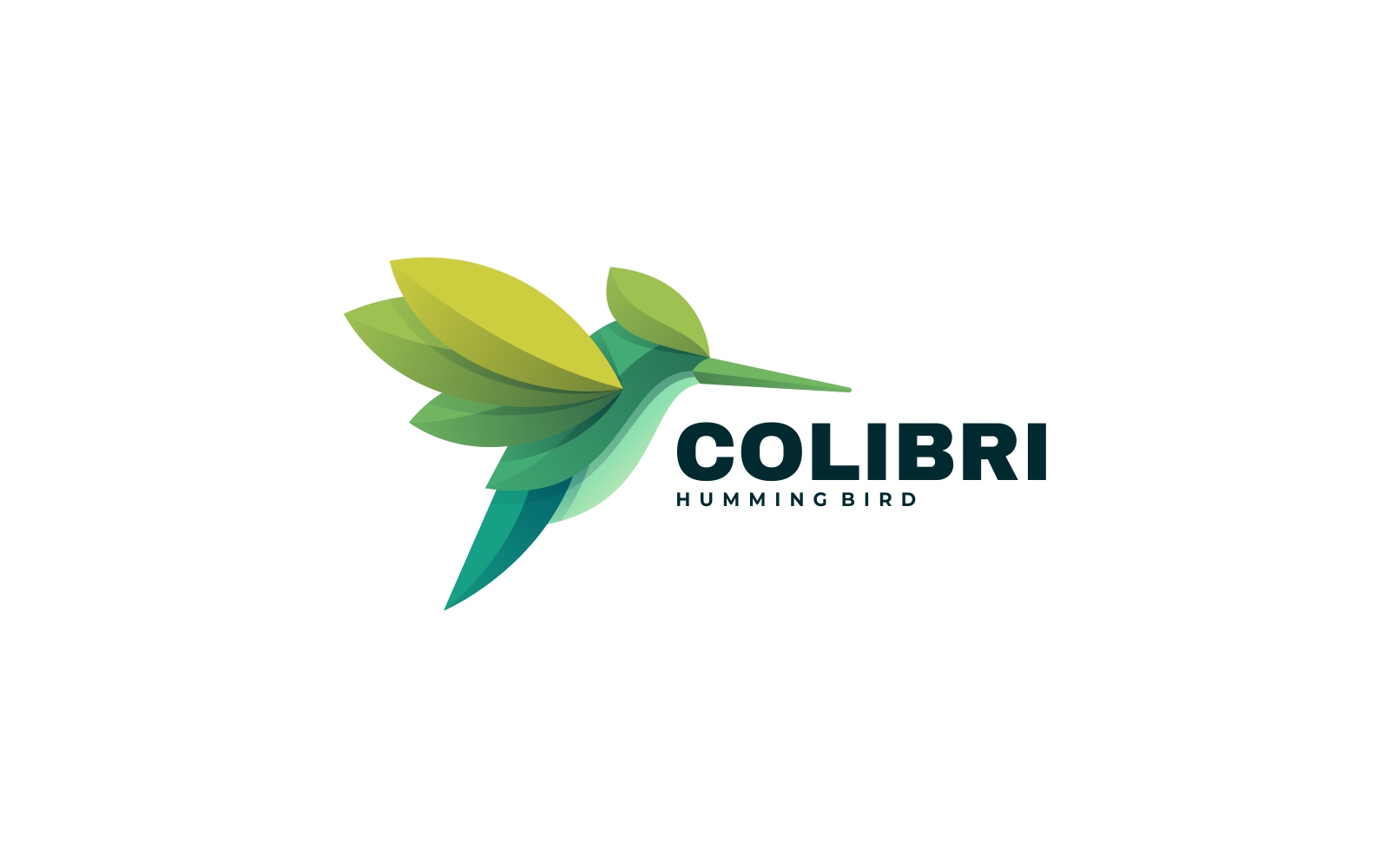 Colibri Gradient Colorful Logo Template