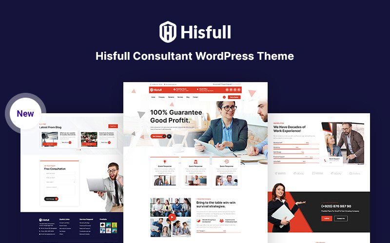 Hisfull - Consultant Responsive WordPress Theme