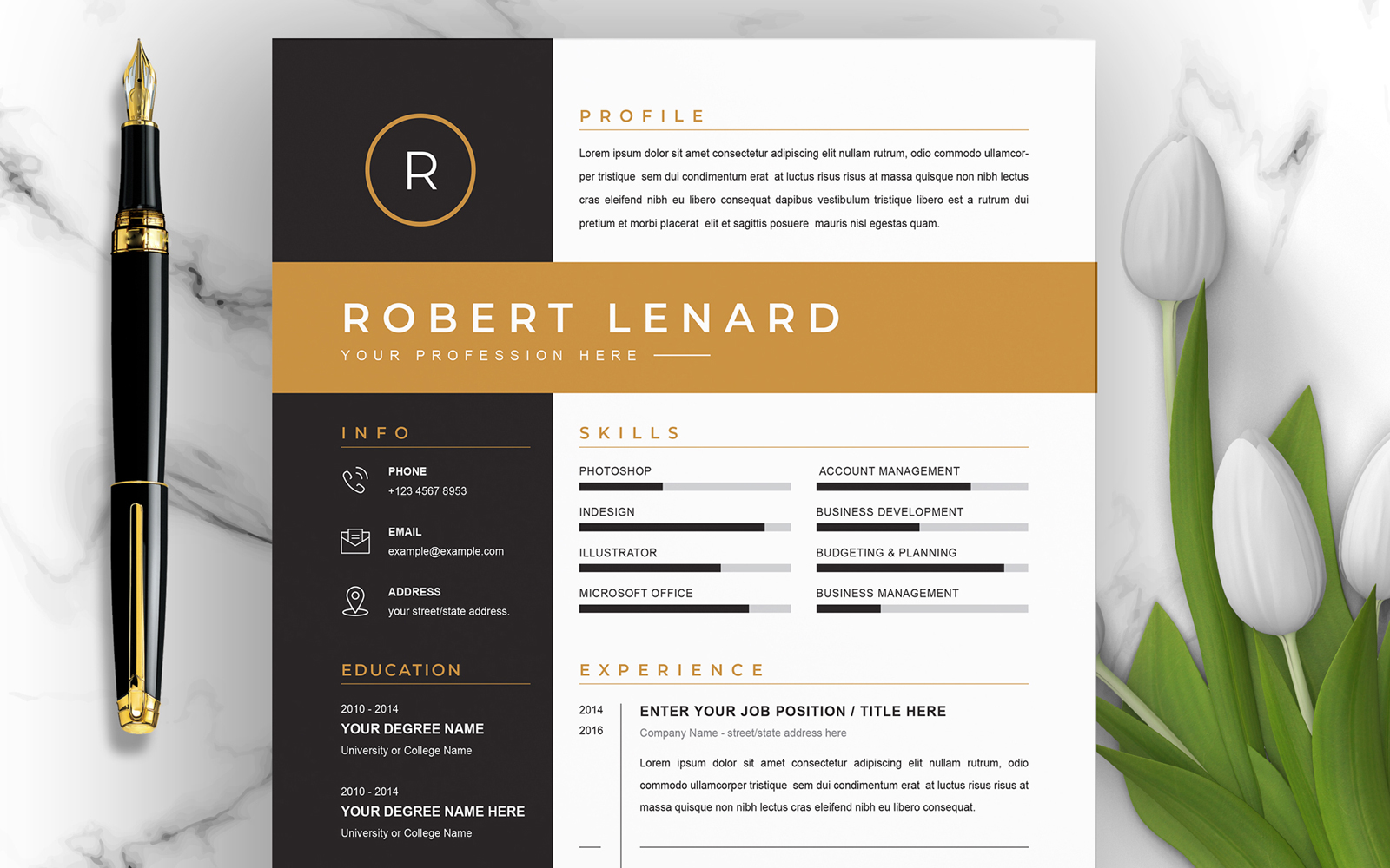 Robert / CV Template Printable Resume Templates