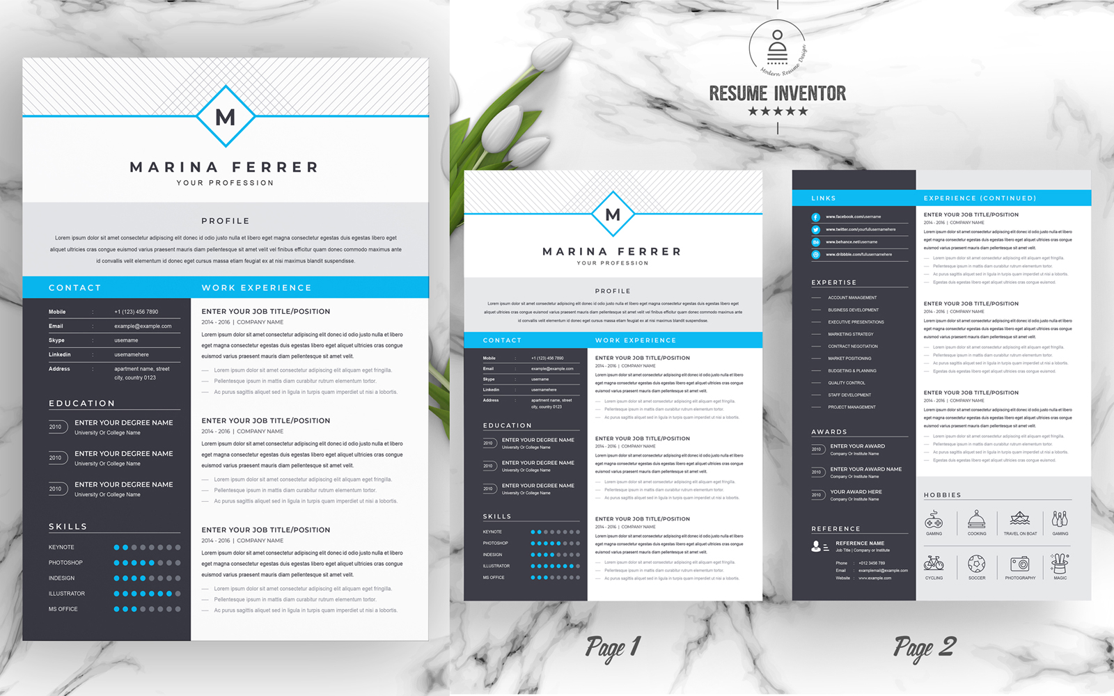 Marina Ferrer / Professional Resume