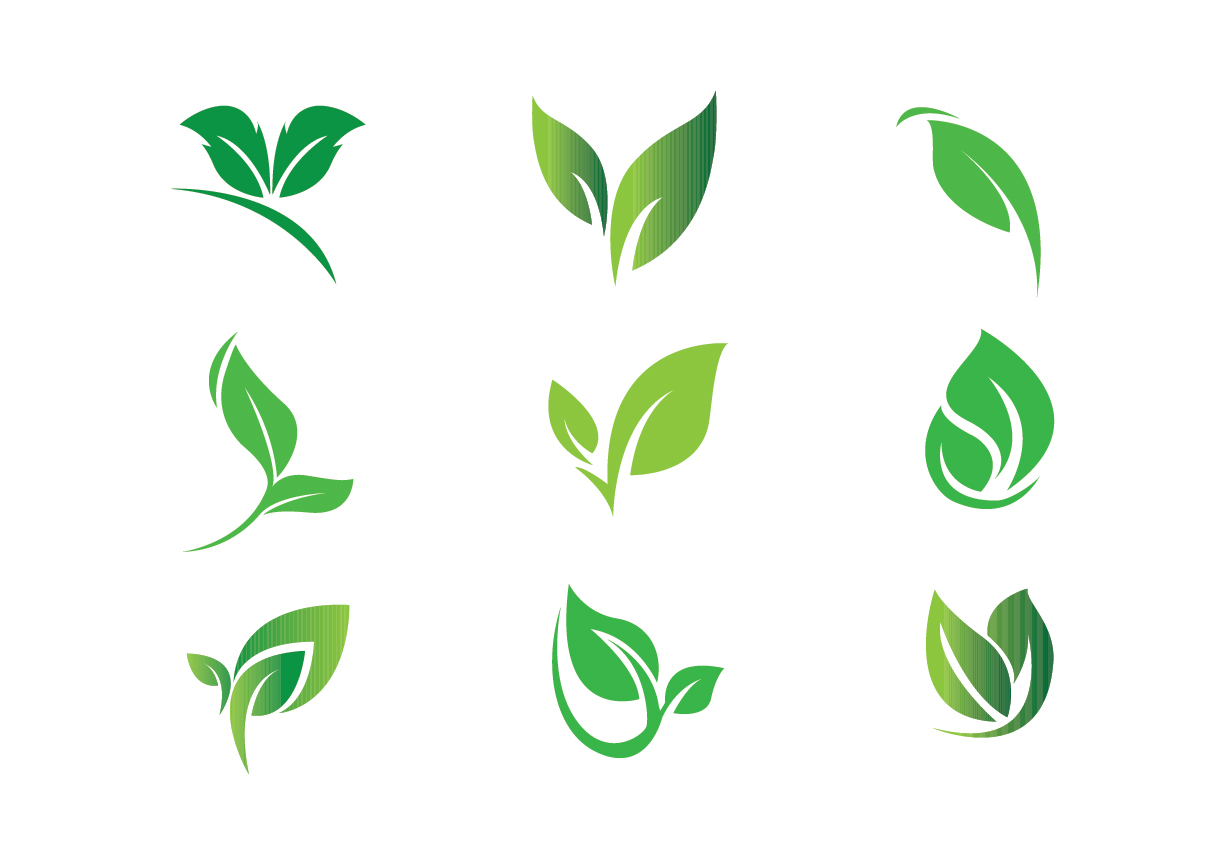 Green Leaf Logo Design Set