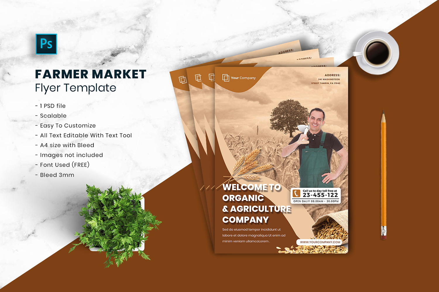 Farmer Market Flyer Template vol.04