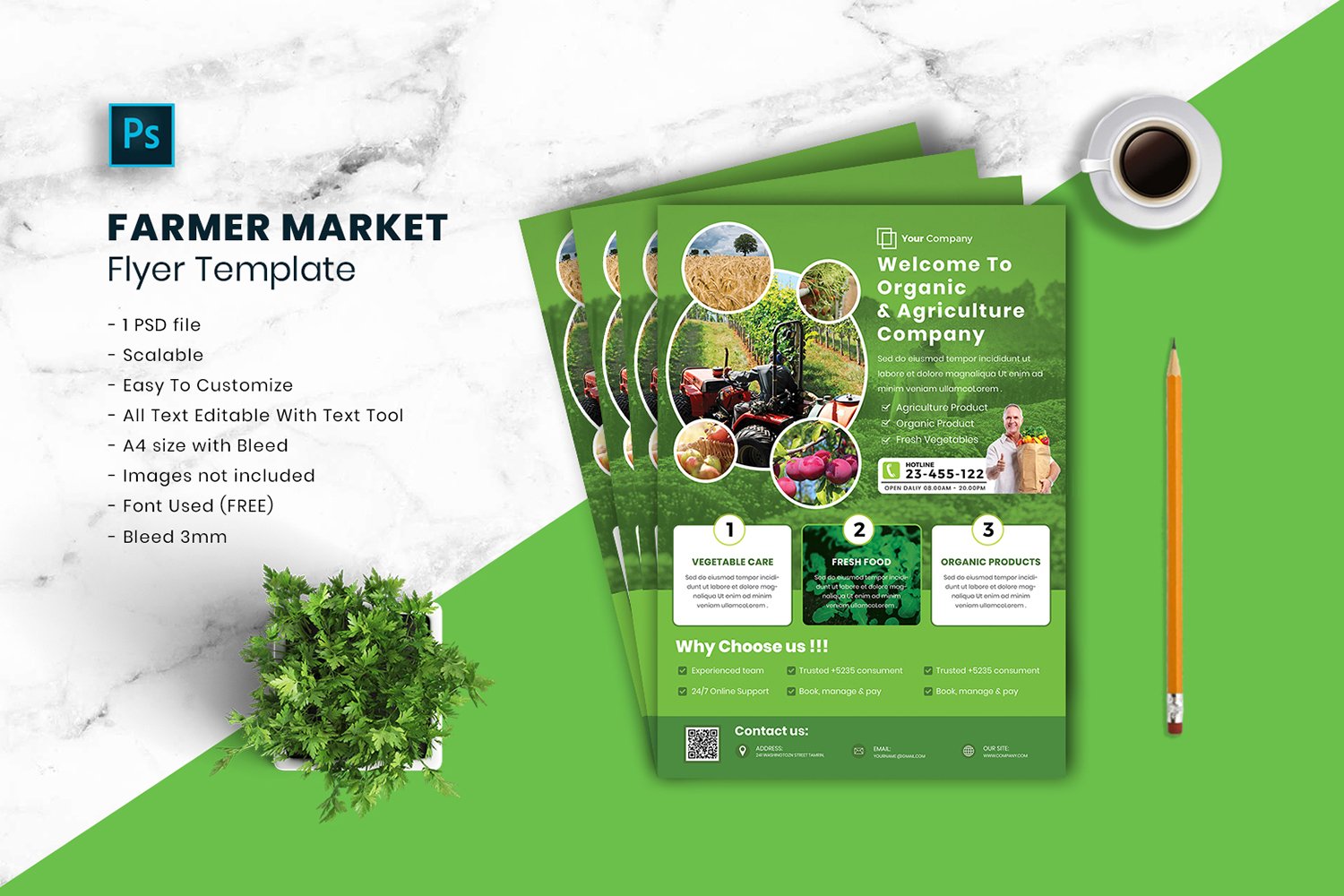 Farmer Market Flyer Template vol.03