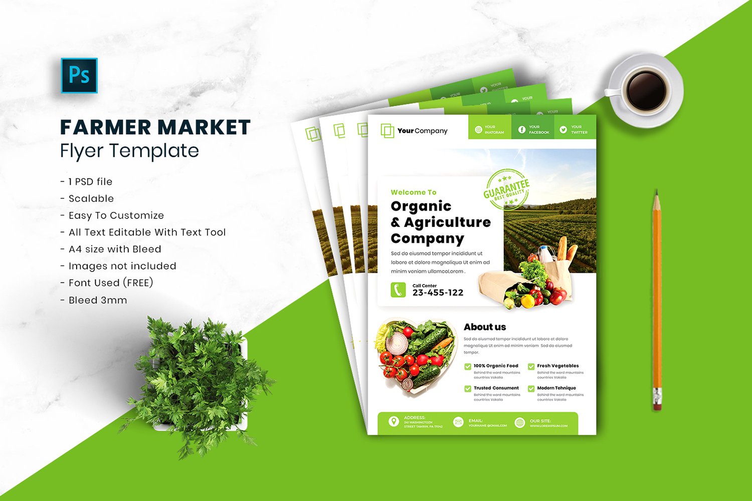 Farmer Market Flyer Template vol.07