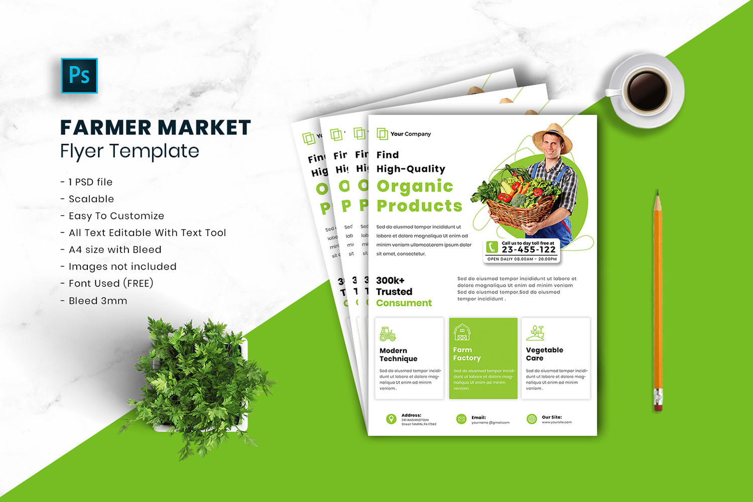 Farmer Market Flyer Template vol.11