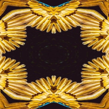 <a class=ContentLinkGreen href=>Stock Musique</a></font> matelas fond 187984