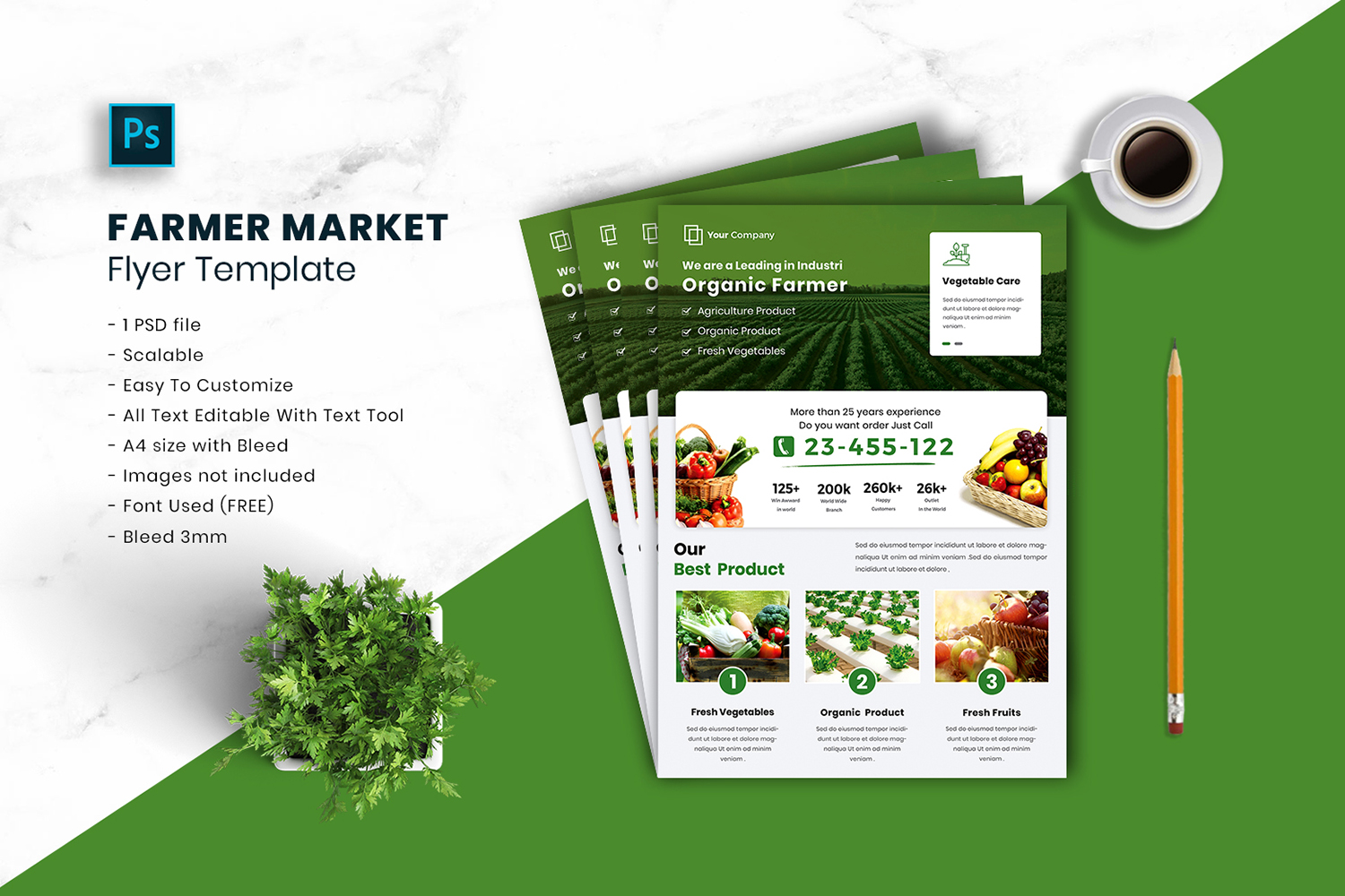 Farmer Market Flyer Template vol.14