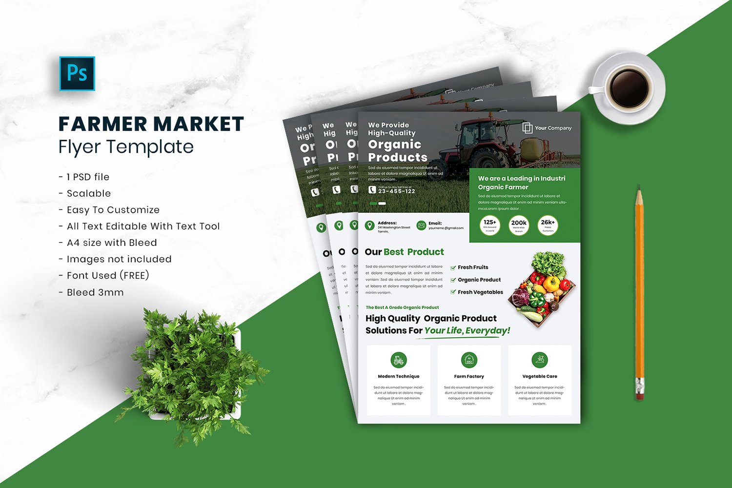 Farmer Market Flyer Template vol.13