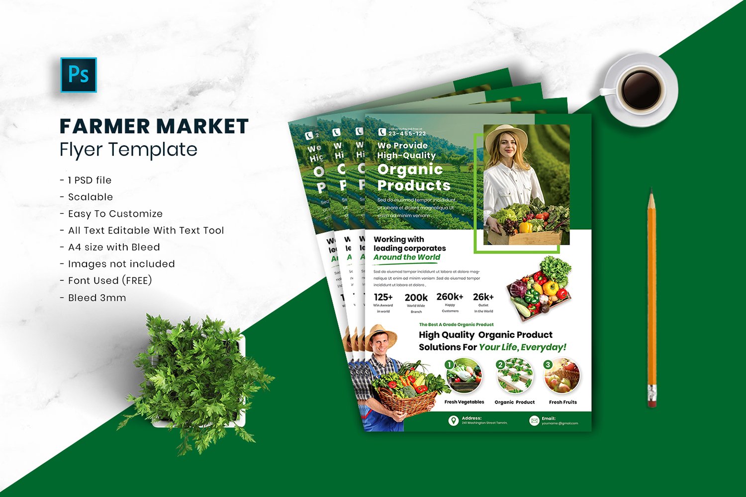 Farmer Market Flyer Template vol.15