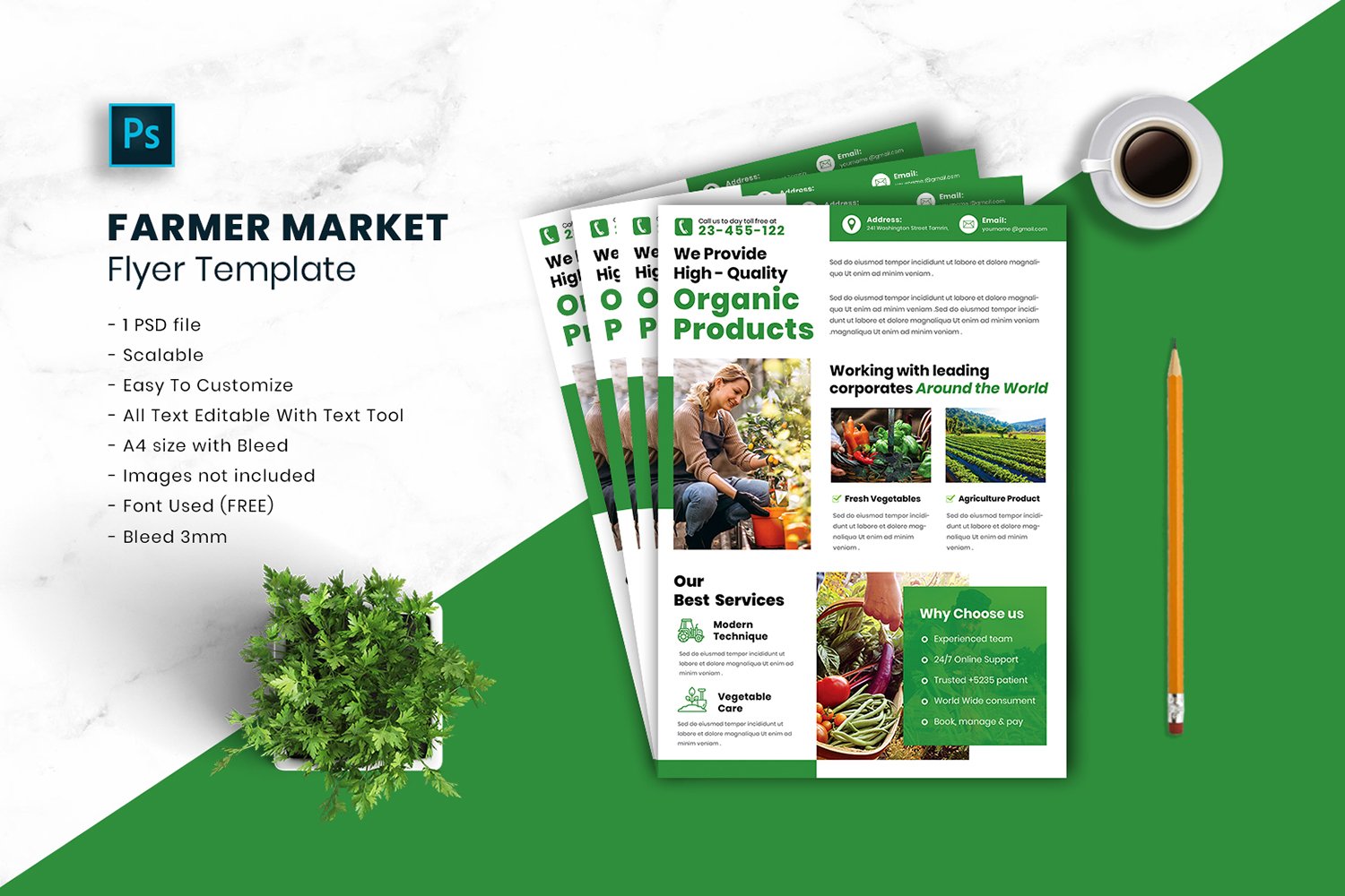 Farmer Market Flyer Template vol.16