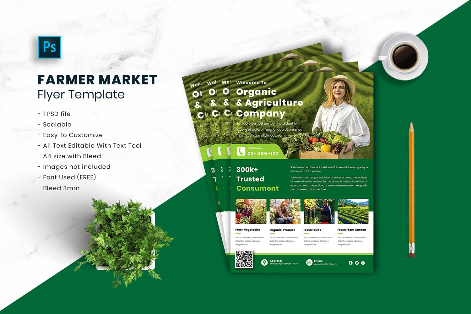 Farmer Market Flyer Template vol.17