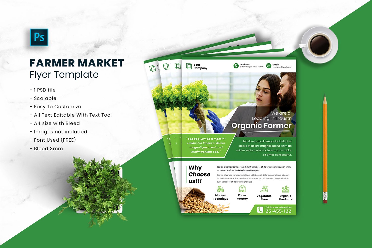 Farmer Market Flyer Template vol.20