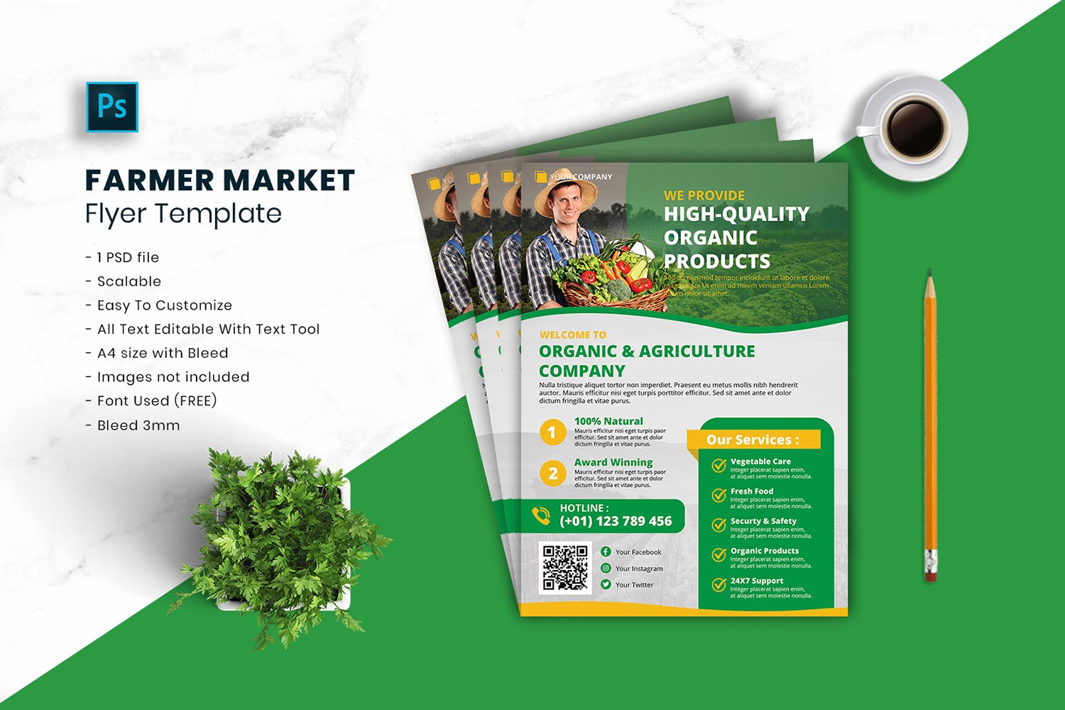 Farmer Market Flyer Template vol.21