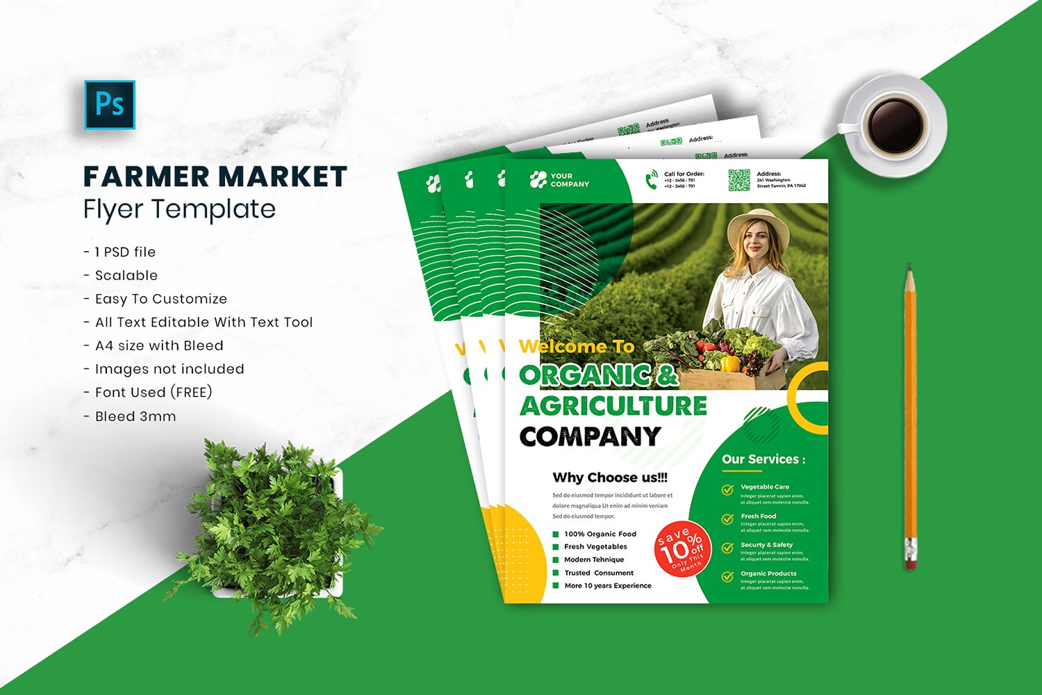 Farmer Market Flyer Template vol.27