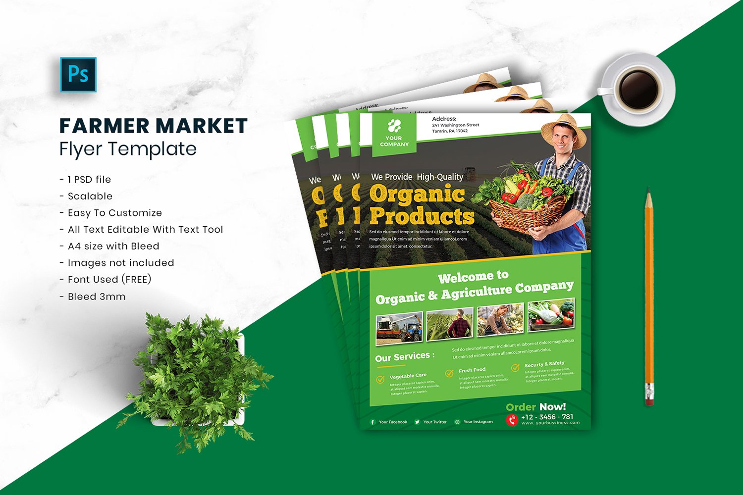 Farmer Market Flyer Template vol.28