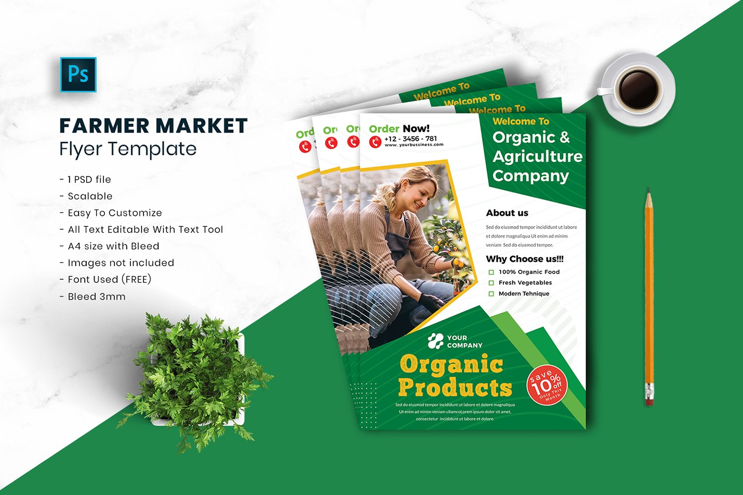 Farmer Market Flyer Template vol.29