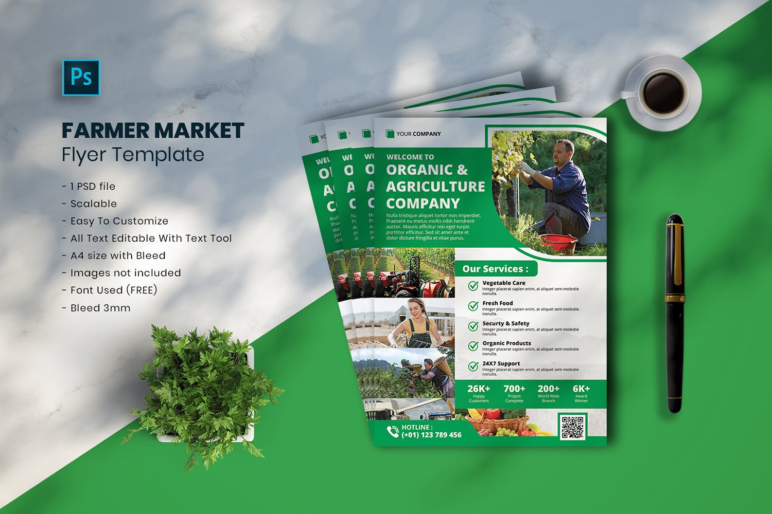 Farmer Market Flyer Template vol.32