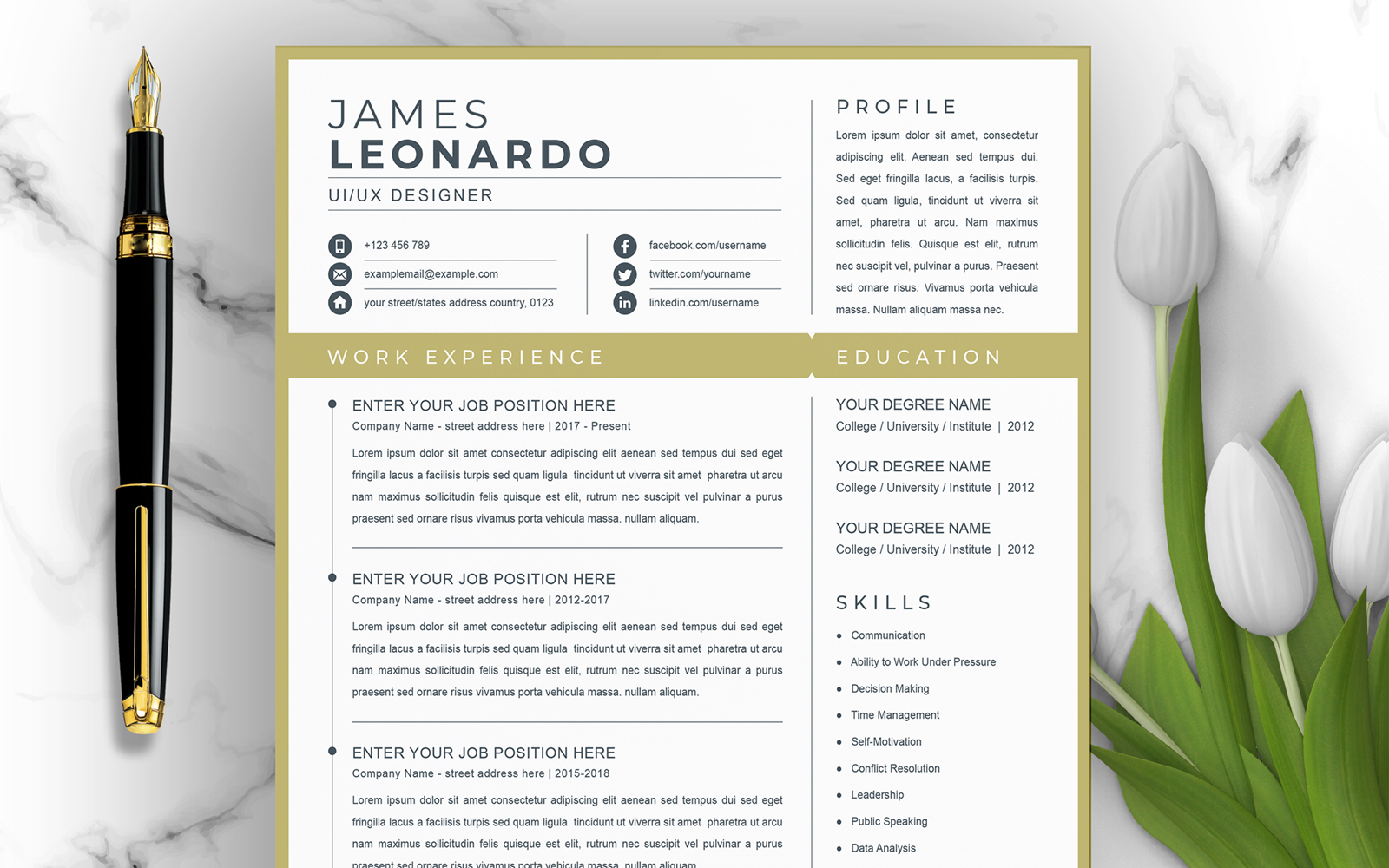 James /  Profissional Printable Resume Templates