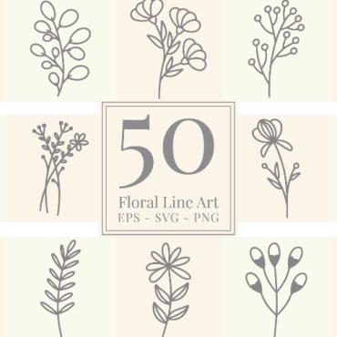 Botanical Line Illustrations Templates 191565