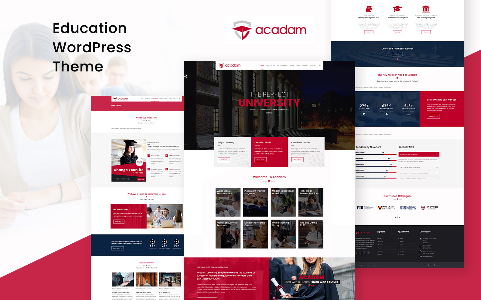 WordPress Themes