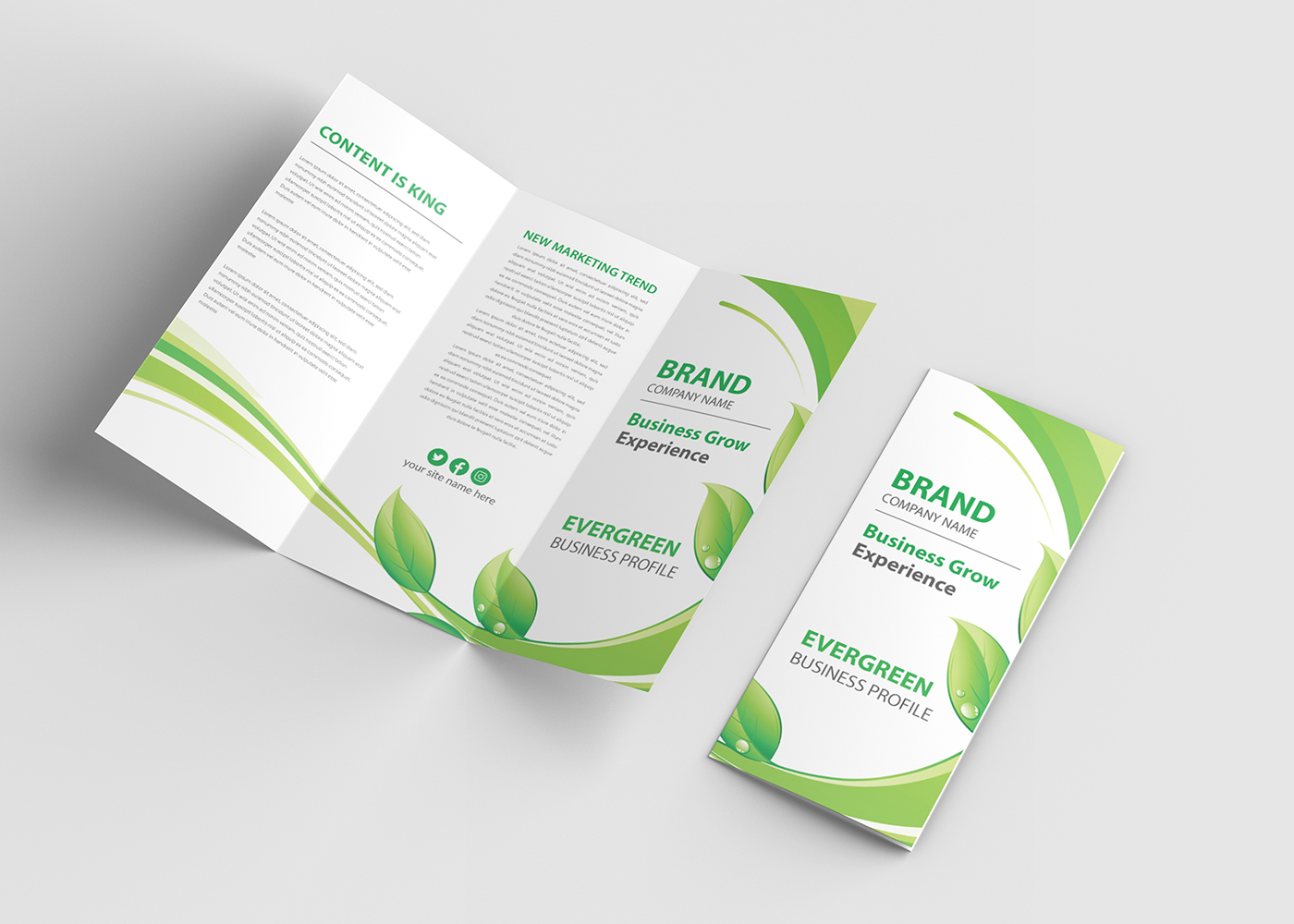 Evergreen Tri Fold Brochure Design Template