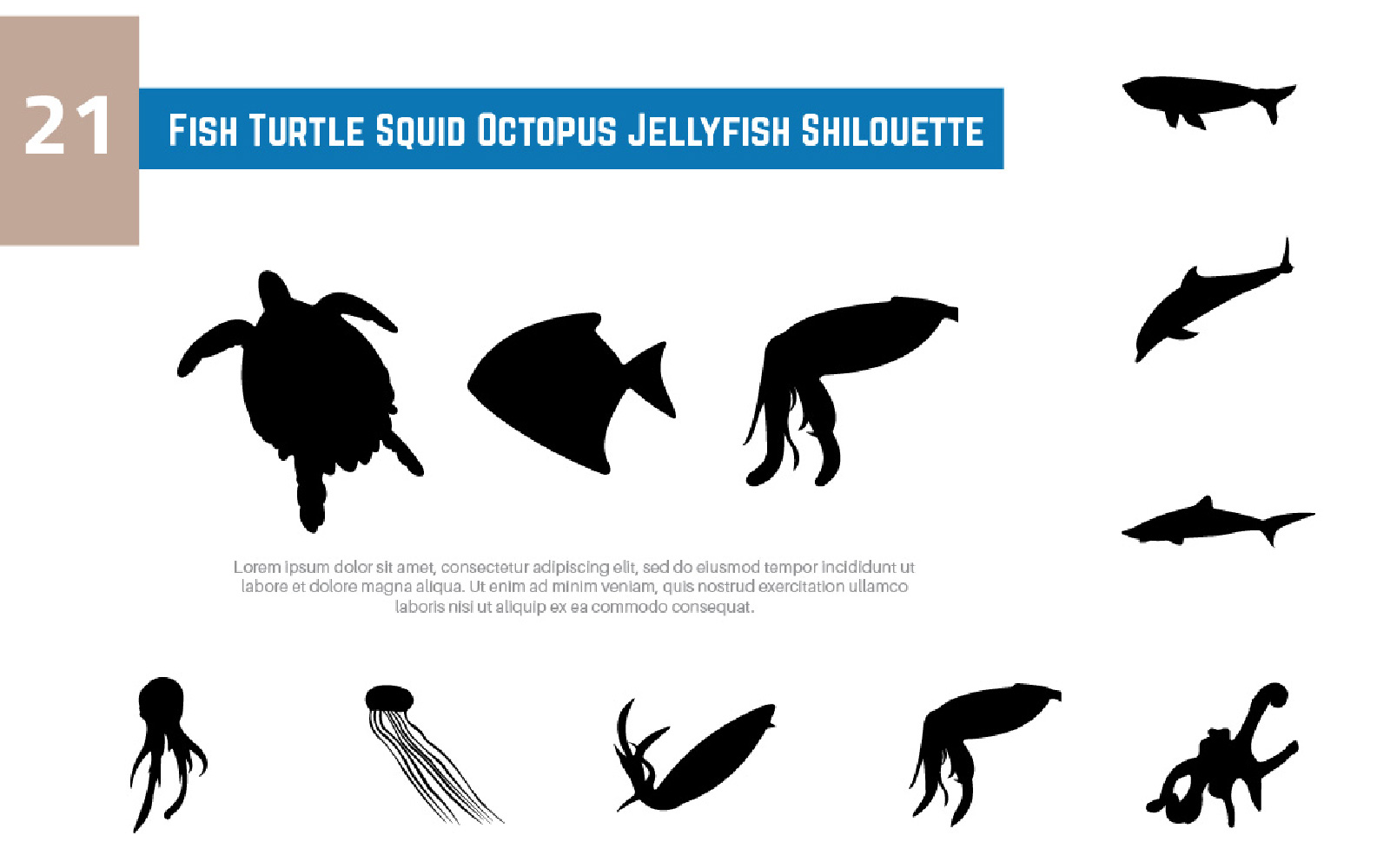 21 Fish Turtle Squid Octopus Jellyfish Shilouette